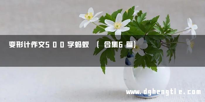 变形计作文500字蚂蚁 (合集6篇)